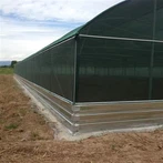 Теплиця для вирощування равликів