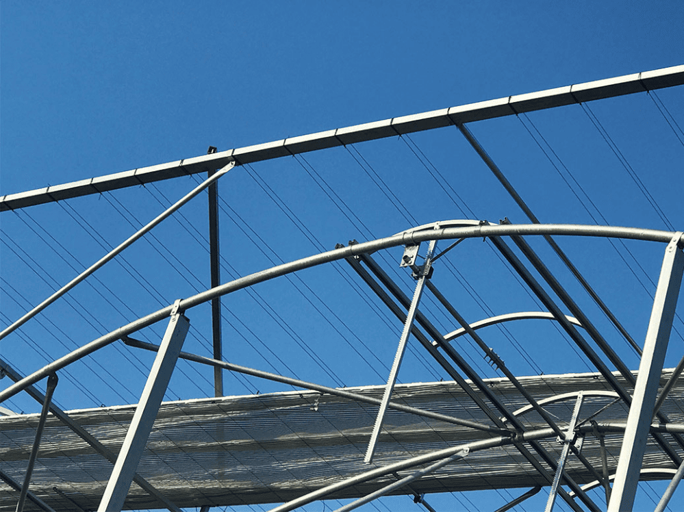 China Tunnel Film Greenhouse For Africa
